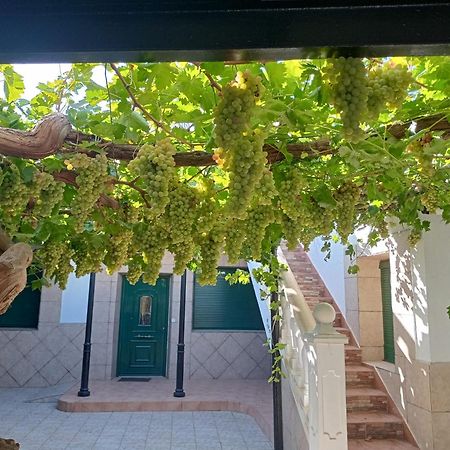 Casa Rural La Del Alba Seria Argamasilla de Alba Εξωτερικό φωτογραφία
