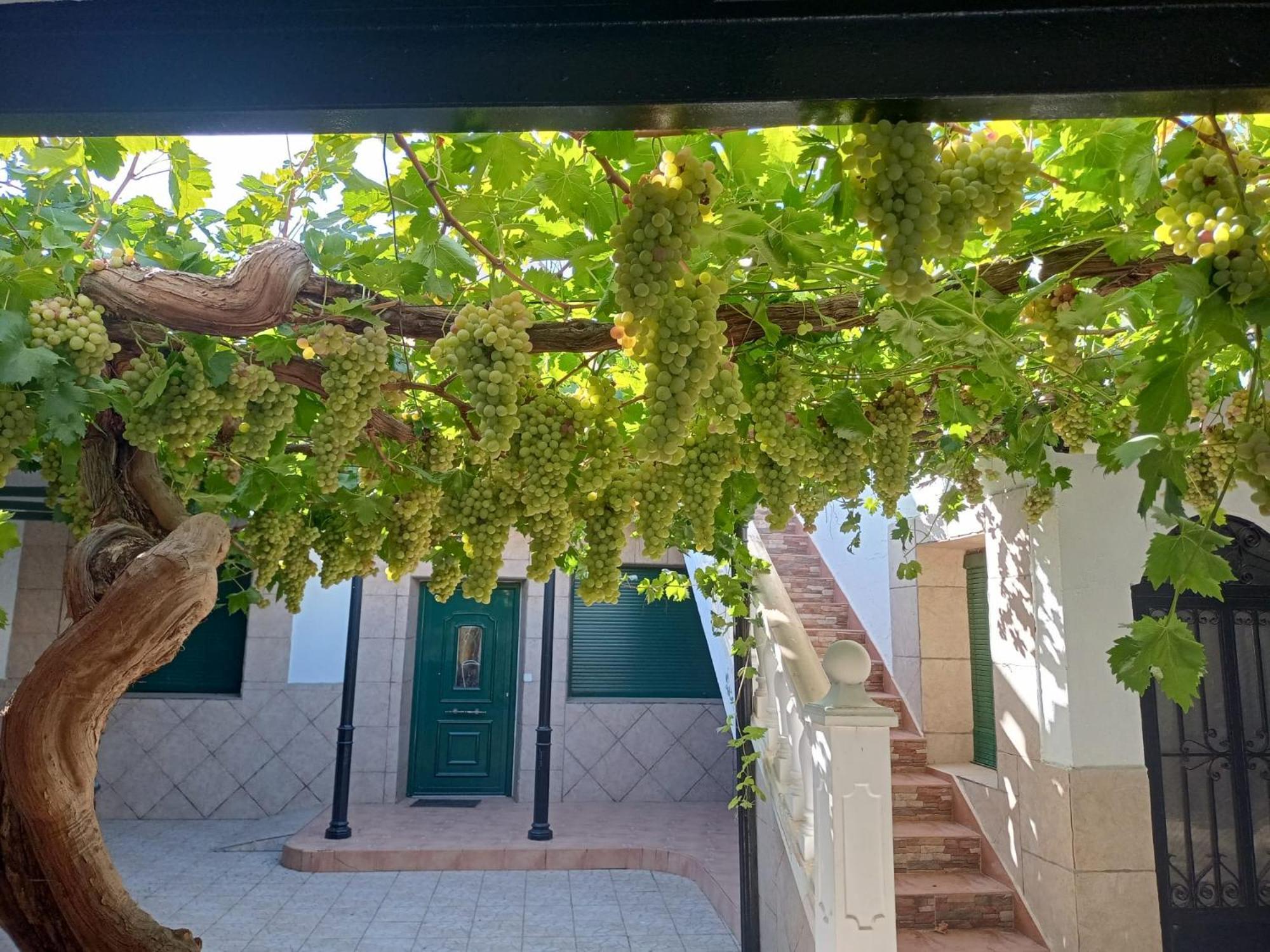 Casa Rural La Del Alba Seria Argamasilla de Alba Εξωτερικό φωτογραφία